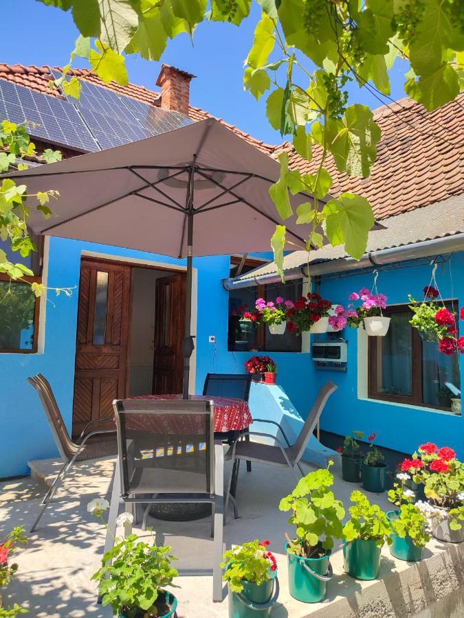 Blue Home Avrig Exterior foto